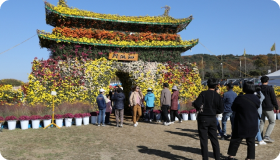 부여국화축제