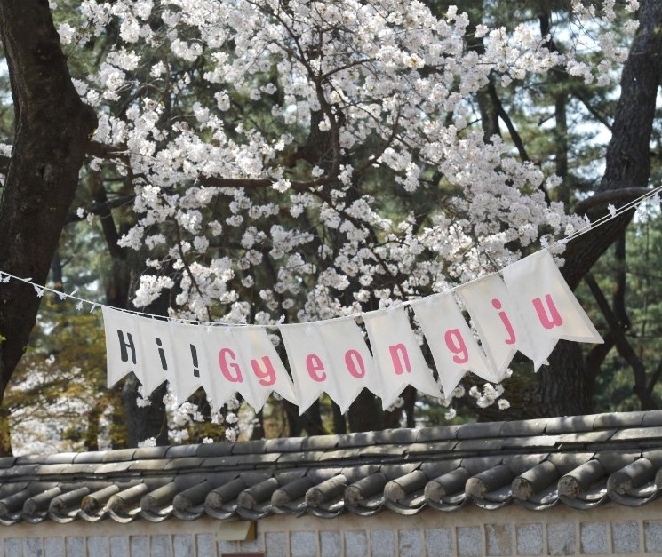 경주 벚꽃 축제