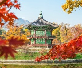 경복궁 축제