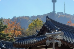 대표이미지5